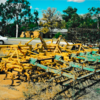 Connor Shea 32' Cultivator