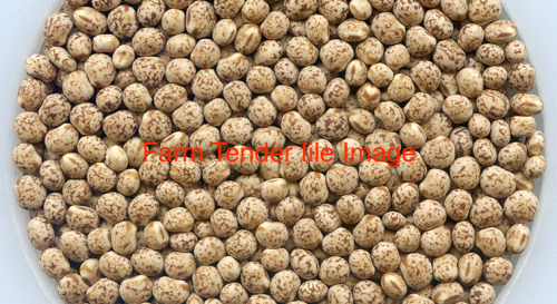 Lupins. 1 x b Double load