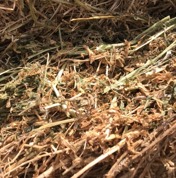 Vetch Hay Rolls For Sale