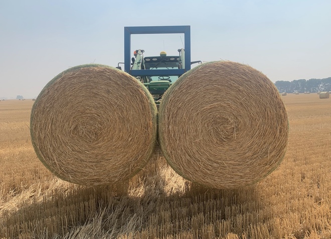 Wheaten Straw 5x4 Rolls