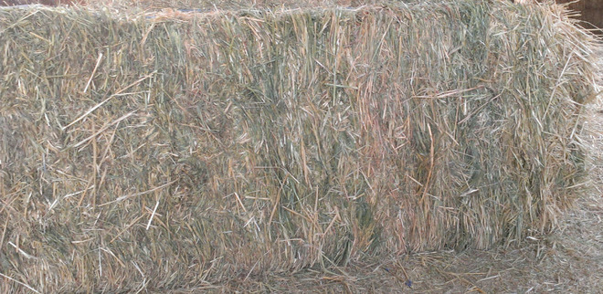 72  Oaten Hay 8x3x3 Bales