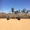 40FT NDF Disc Drill For Sale ** Price Reduced ** Good discs