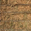 Canola Hay 8x4x3 - 600 x 640 KG Approx Bales & Shedded
