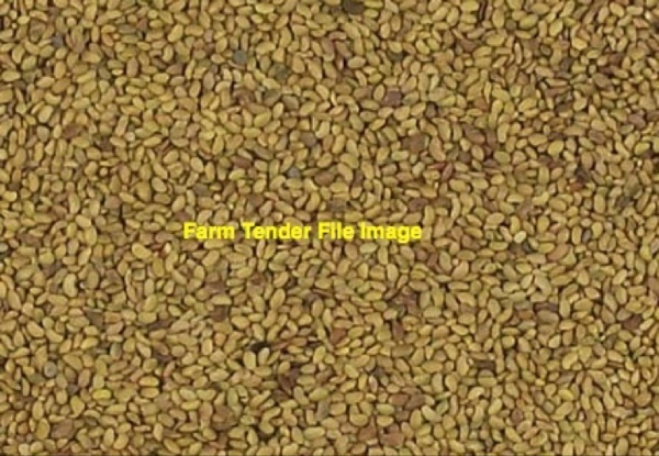 125kgs Aurora Lucerne seed wanted 