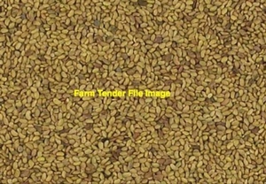 125kgs Aurora Lucerne seed wanted