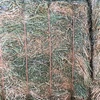 150mt Lentil Medic Hay 680-700kg 8x4x3 Bales