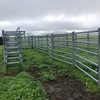Arrow Portable Cattle Yards