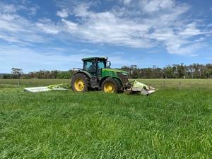 silage rolls
