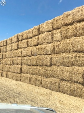 Wheaten Straw - 550kg Bales