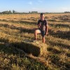 Oaten Hay Small Bales