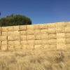 100mt Header Trailed Barley Straw 8x4x3 Bales