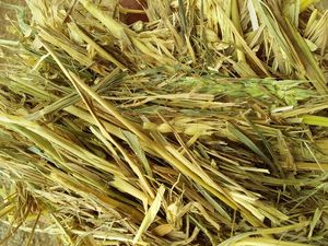 45mt Wheaten Hay 575 kg 8x4x3 Bales