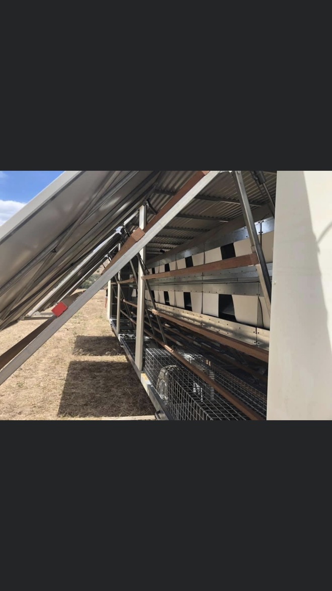 Chicken Caravan AF1500