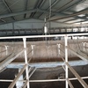 50 stand Fullwood rotary dairy complete