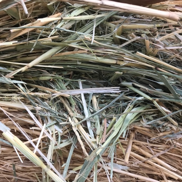 Wheaten / Rye Hay Rolls For Sale