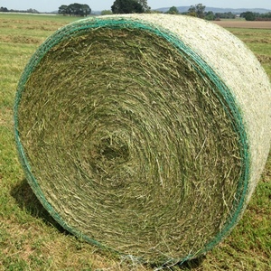 Lucerne hay