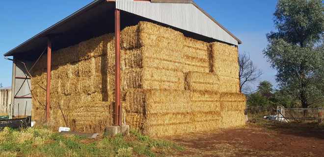 Oaten Hay 8x4x3 Bales shedded.