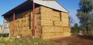 Oaten Hay 8x4x3 Bales shedded.