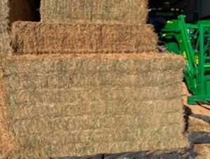 Vetch/Clover Hay For Sale in 8x4x3's Delivered Only!!!
