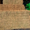 Vetch/Clover Hay For Sale in 8x4x3's Delivered Only!!!