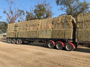 Wheaten hay Cereal hay
