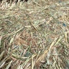 Oaten Hay 560kg 8x4x3 Bales + Freight