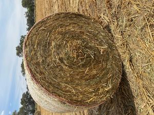 Oaten hay 4x4 rounds 350kg