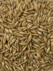 WANTED Compass Barley
