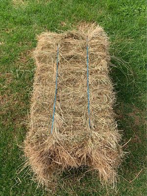 Little Square High Quality Pasture Hay Bales
