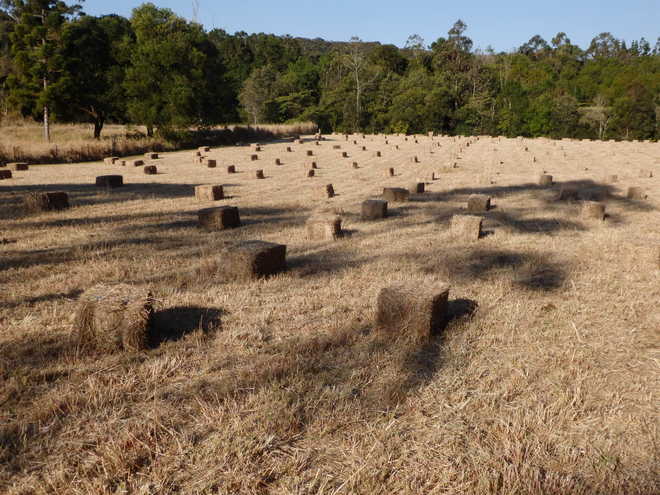 31 acre rural property, large house, guest cottage, haymaking business or grazing.