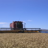 2388 Case Header - 2001 - 36ft Honey Bee Front