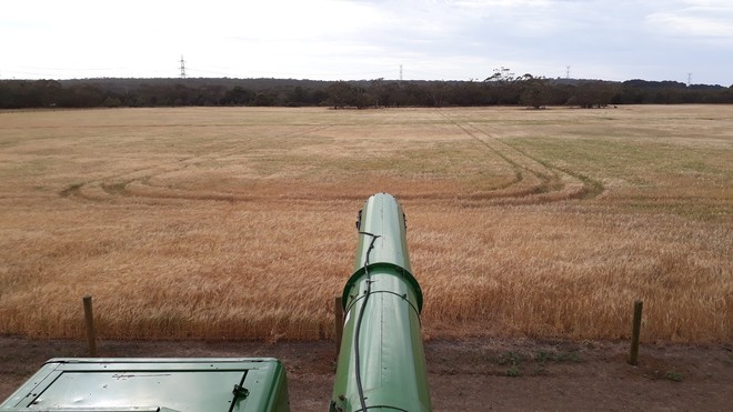 60 tonne Barley for sale