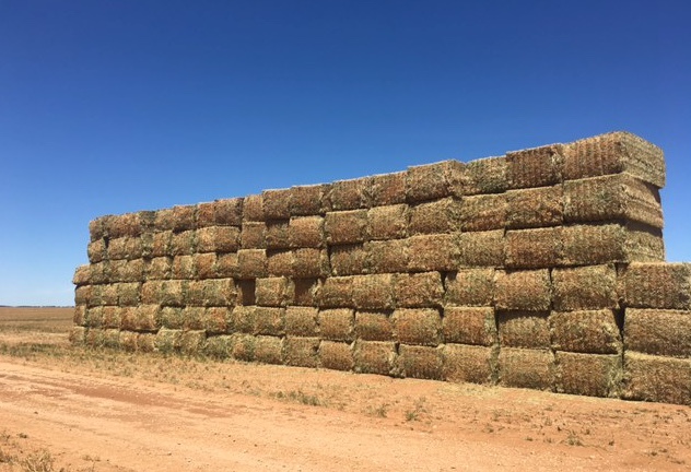 500mt Vetch Hay 700kg 8x4x3 Bales New Season