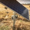 Mono Sun Sub 1000 Solar Pump