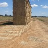 'New Season' Canola Hay 8x4x3 Bales