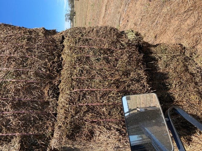 500mt New Season Vetch Hay 650kg 8x4x3 Bales