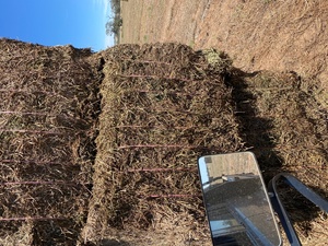 500mt New Season Vetch Hay 650kg 8x4x3 Bales