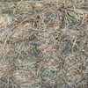 OATEN HAY – Small Squares – Premium Quality