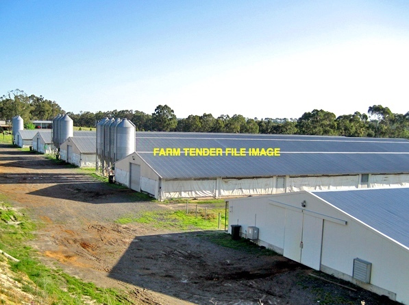 WANTED Lease Chicken Shed