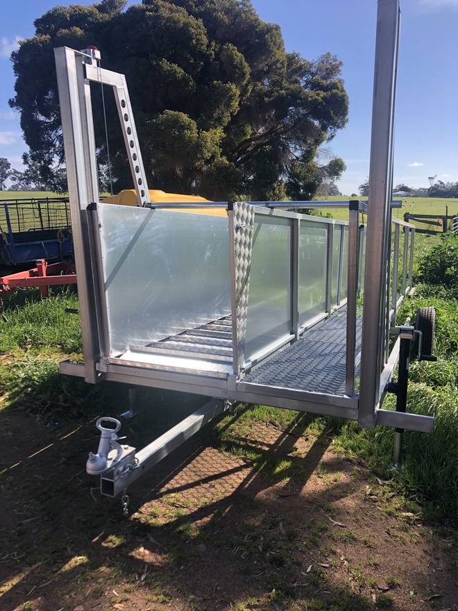 Portable Sheep Loading Race