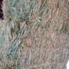 Wheaten Hay 8x4x3 Bales