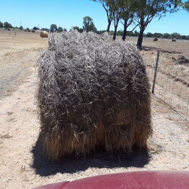Ryegrass Hay 5x4 Rolls