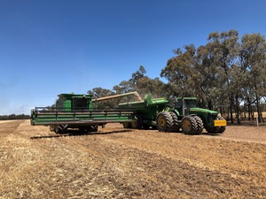 Contract Harvesting & Chaser Bin Available