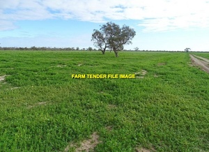 1600ac Grazing Land For Lease