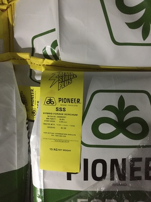 Pioneer sss seed 