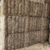 600mt Vetch Hay 500kg 8x4x3 Bales (Road Train Access)
