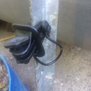 Galvanised star pickets