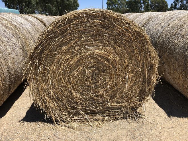 Oaten hay 