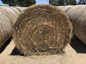 Oaten hay 