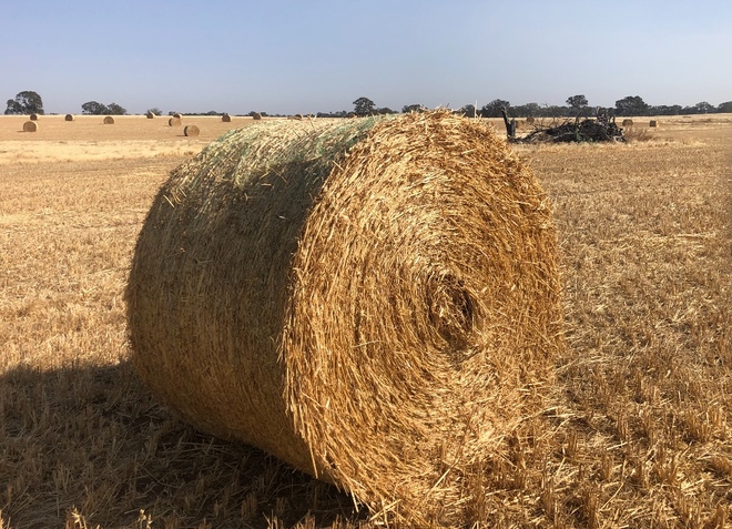 300 x Oaten Hay 5x4 Rolls